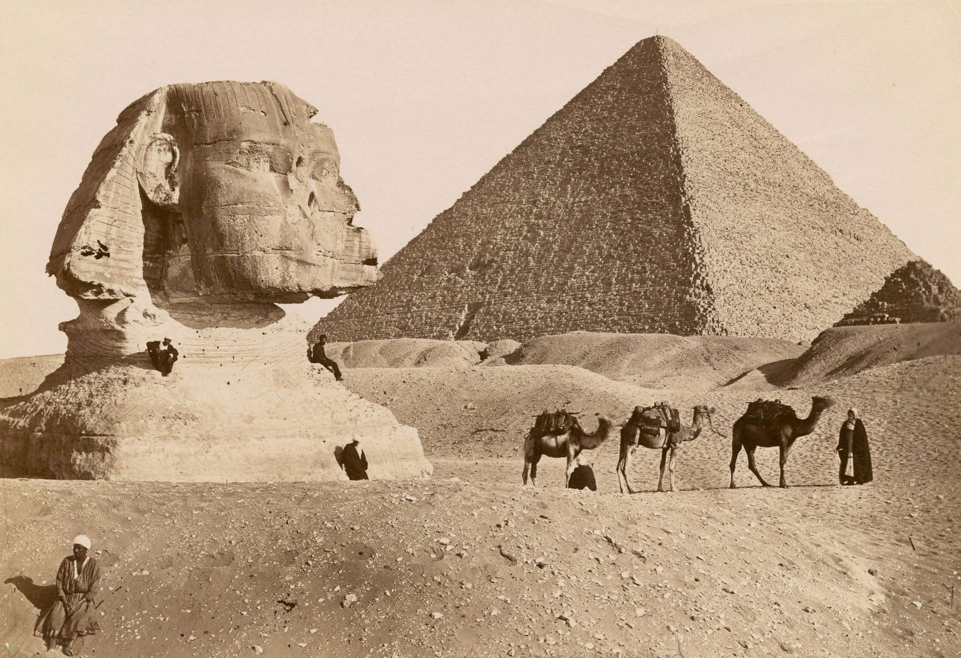 Best History Books for Beginners: 12 Picks That Make the Past Click