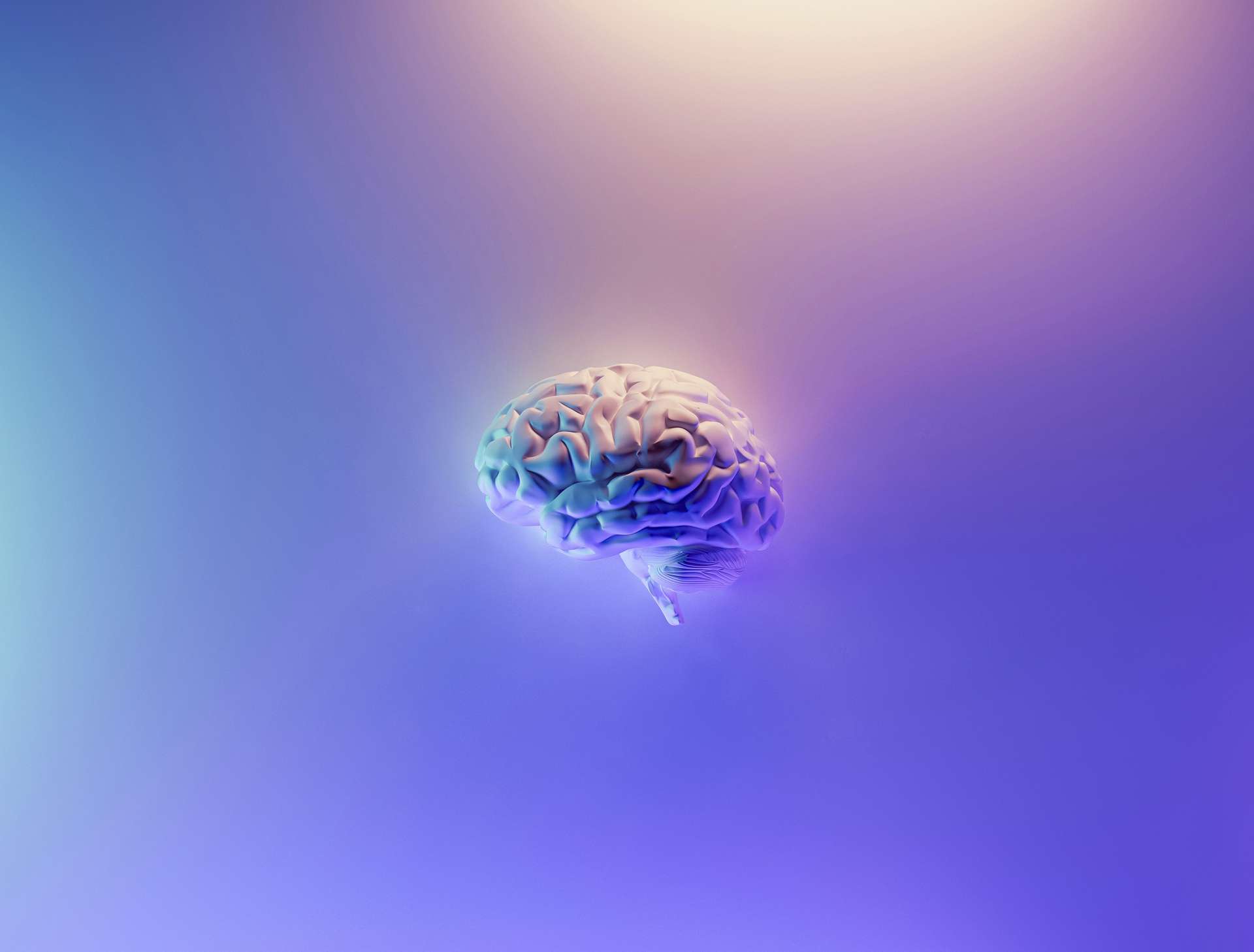 The Forgetting Curve Explained: Ebbinghaus, Memory, and How to Beat It