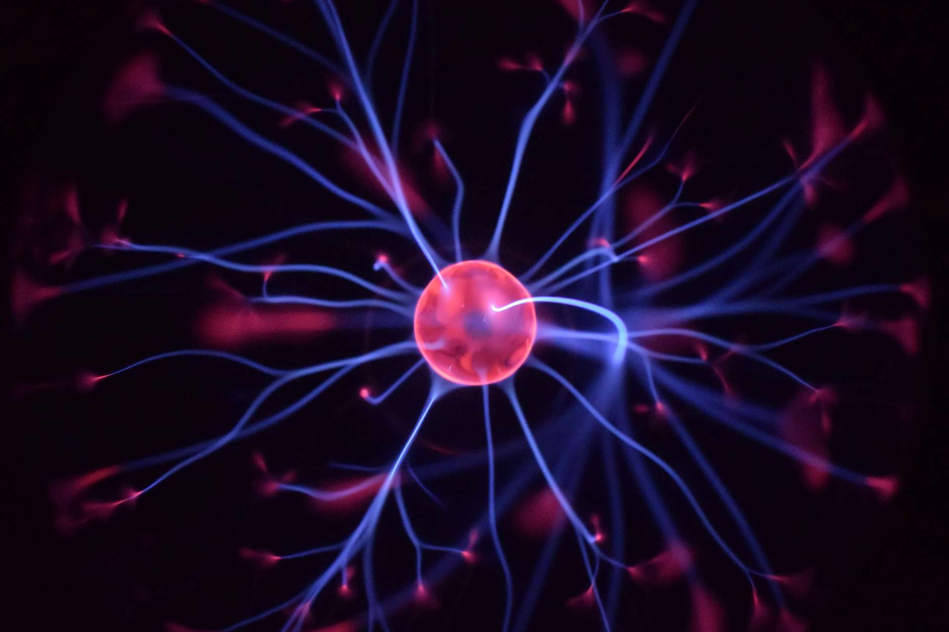 The Baader-Meinhof Phenomenon (Frequency Illusion), Explained